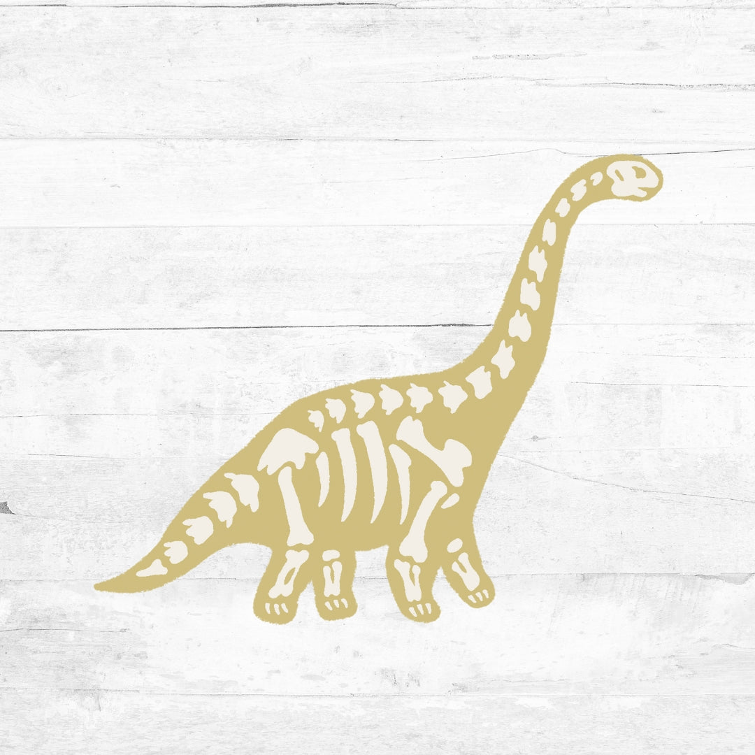 Bügelbild bunte Dino Skelette - Skelett 1