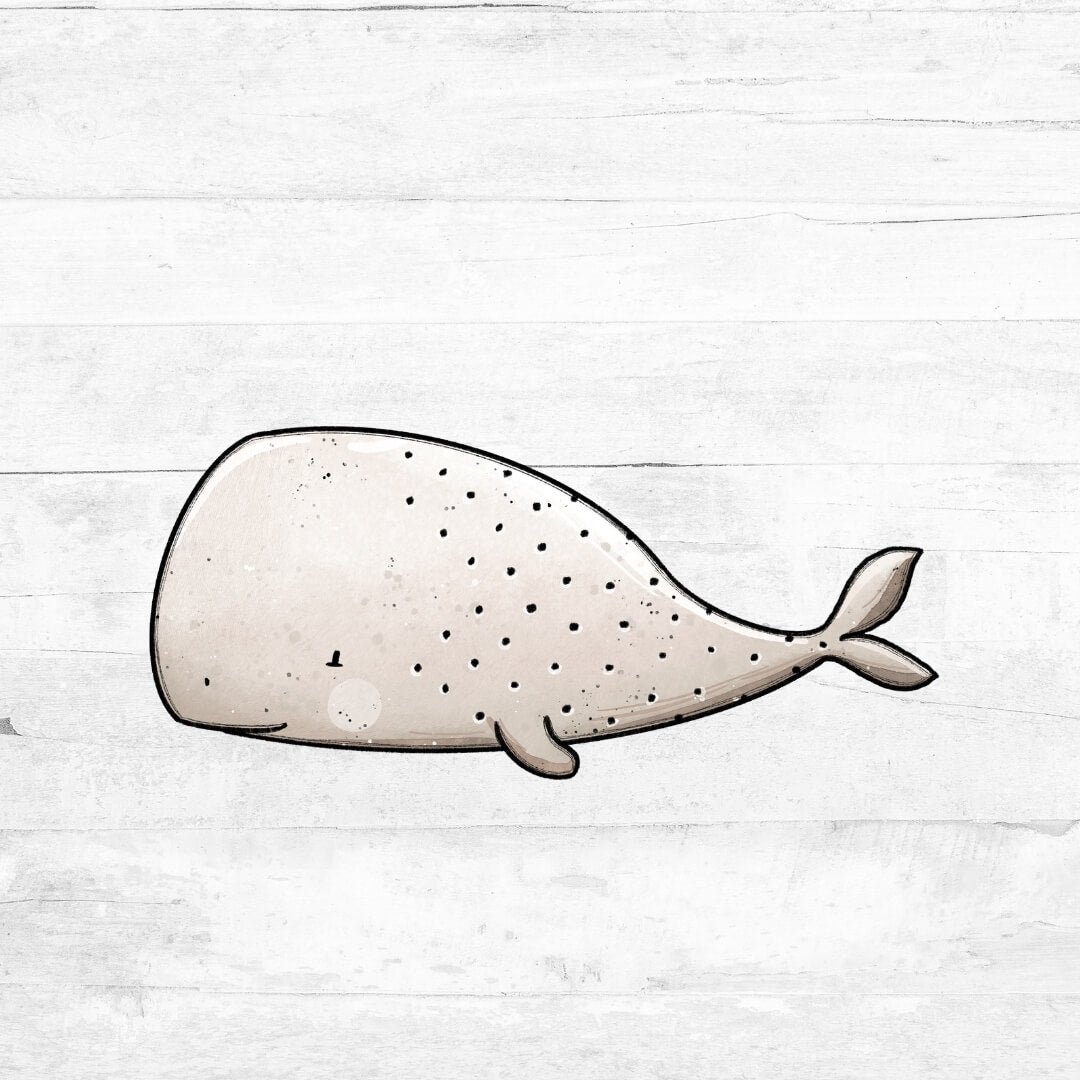 Bügelbild Walfreunde - Wal 2