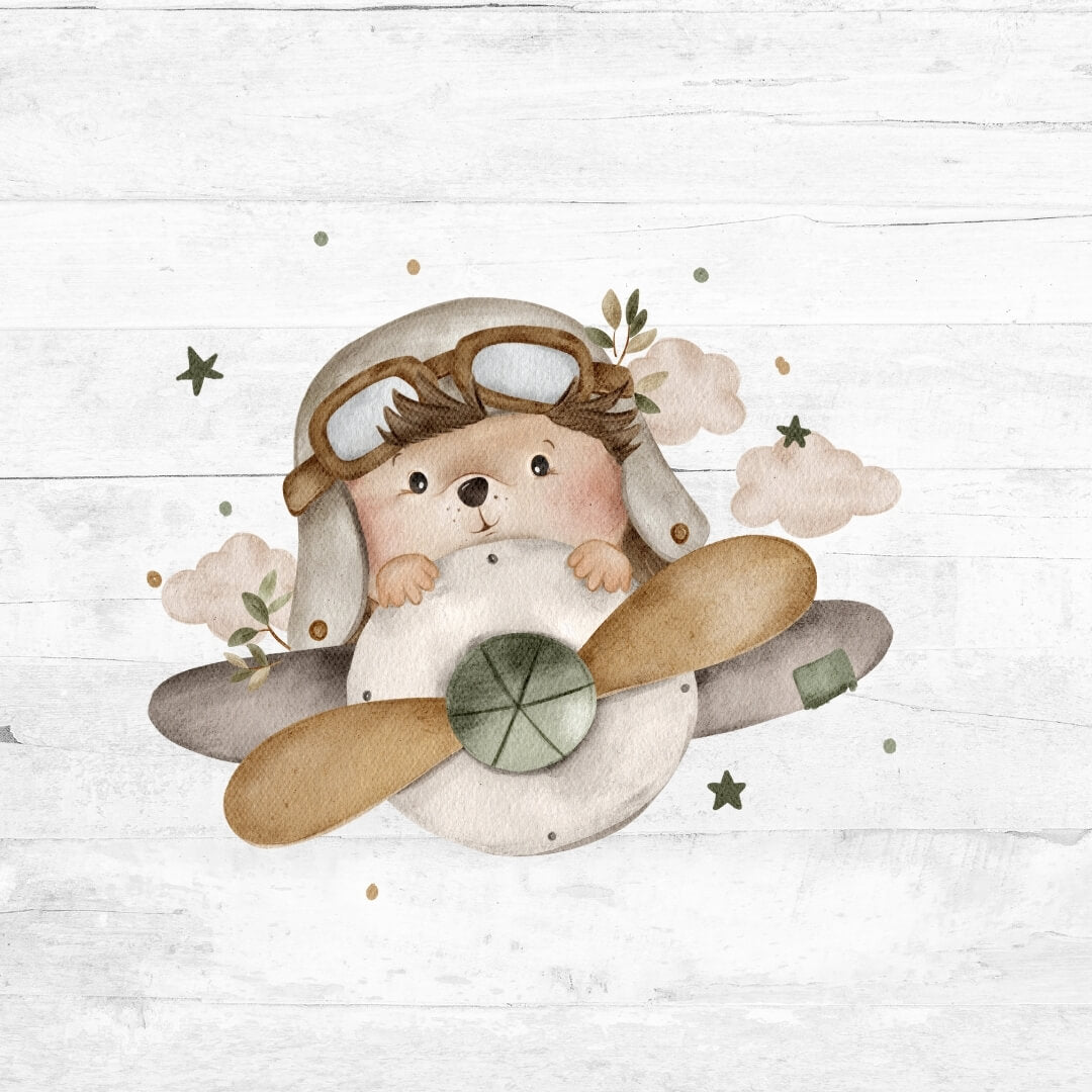 Bügelbild der kleine Aeronaut 1