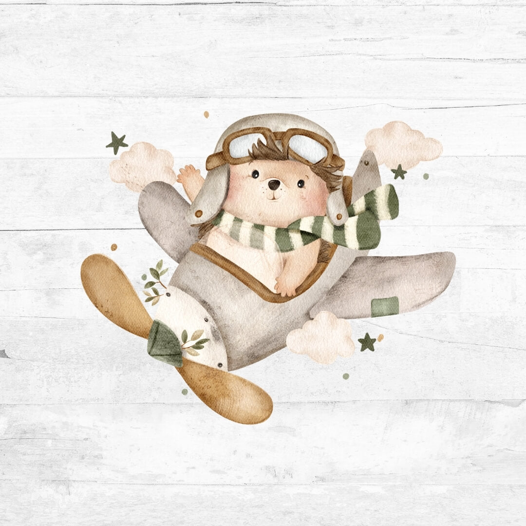 Bügelbild der kleine Aeronaut 2