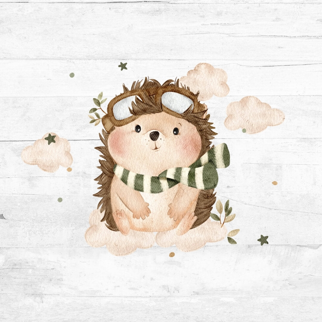 Bügelbild der kleine Aeronaut 3