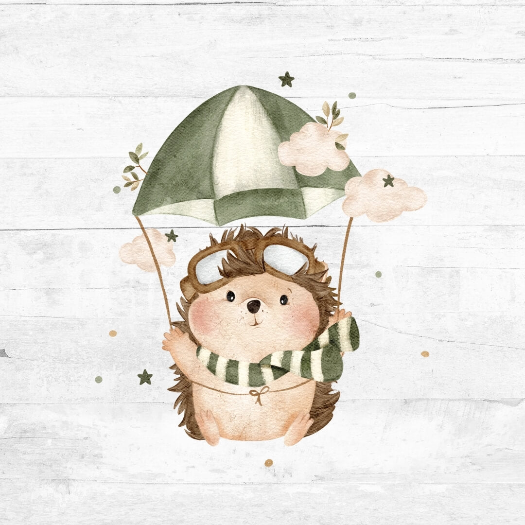 Bügelbild der kleine Aeronaut 4