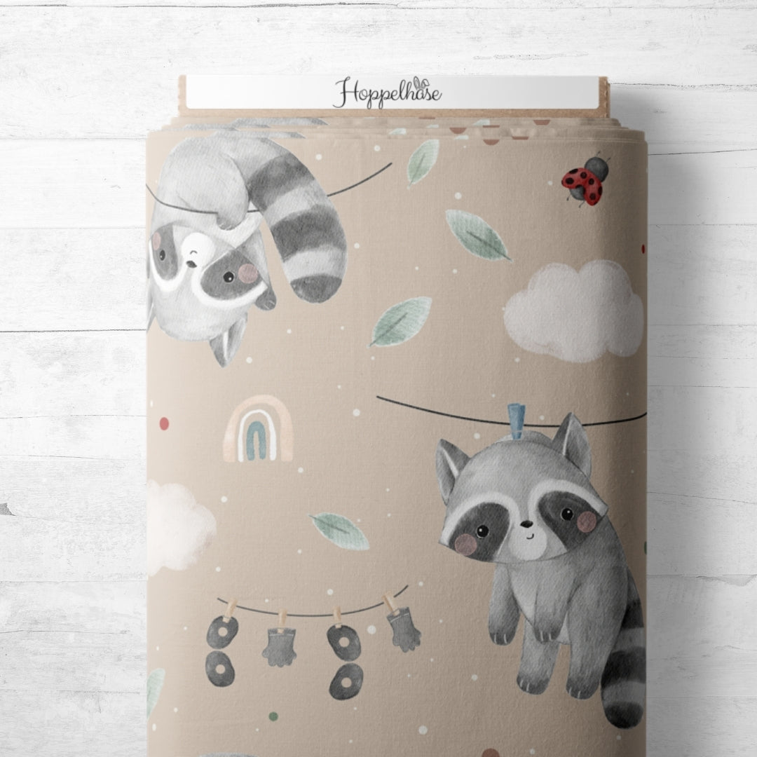 Waschbär auf der Leine