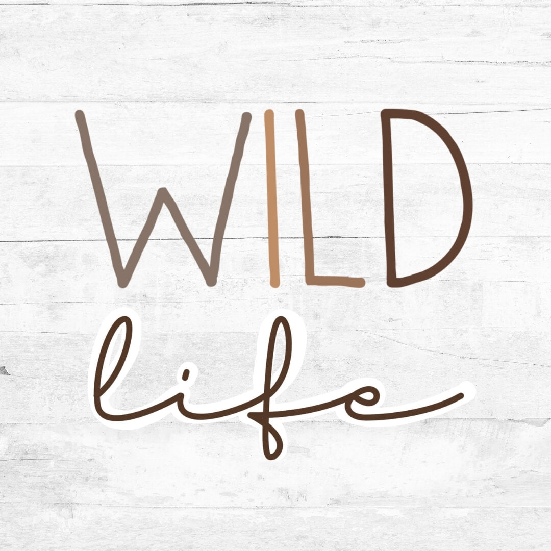 Bügelbild Schriftzug Wild Life