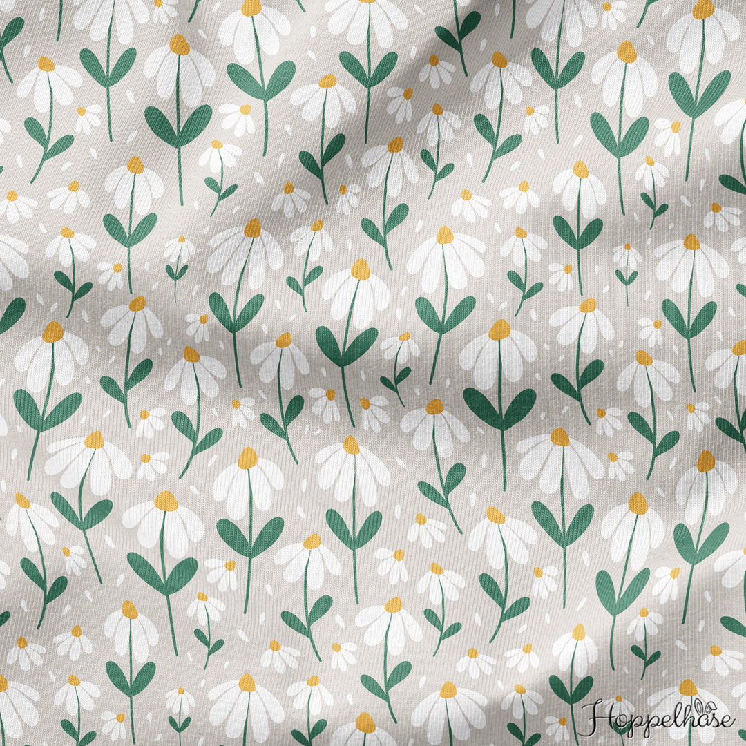 Daisy