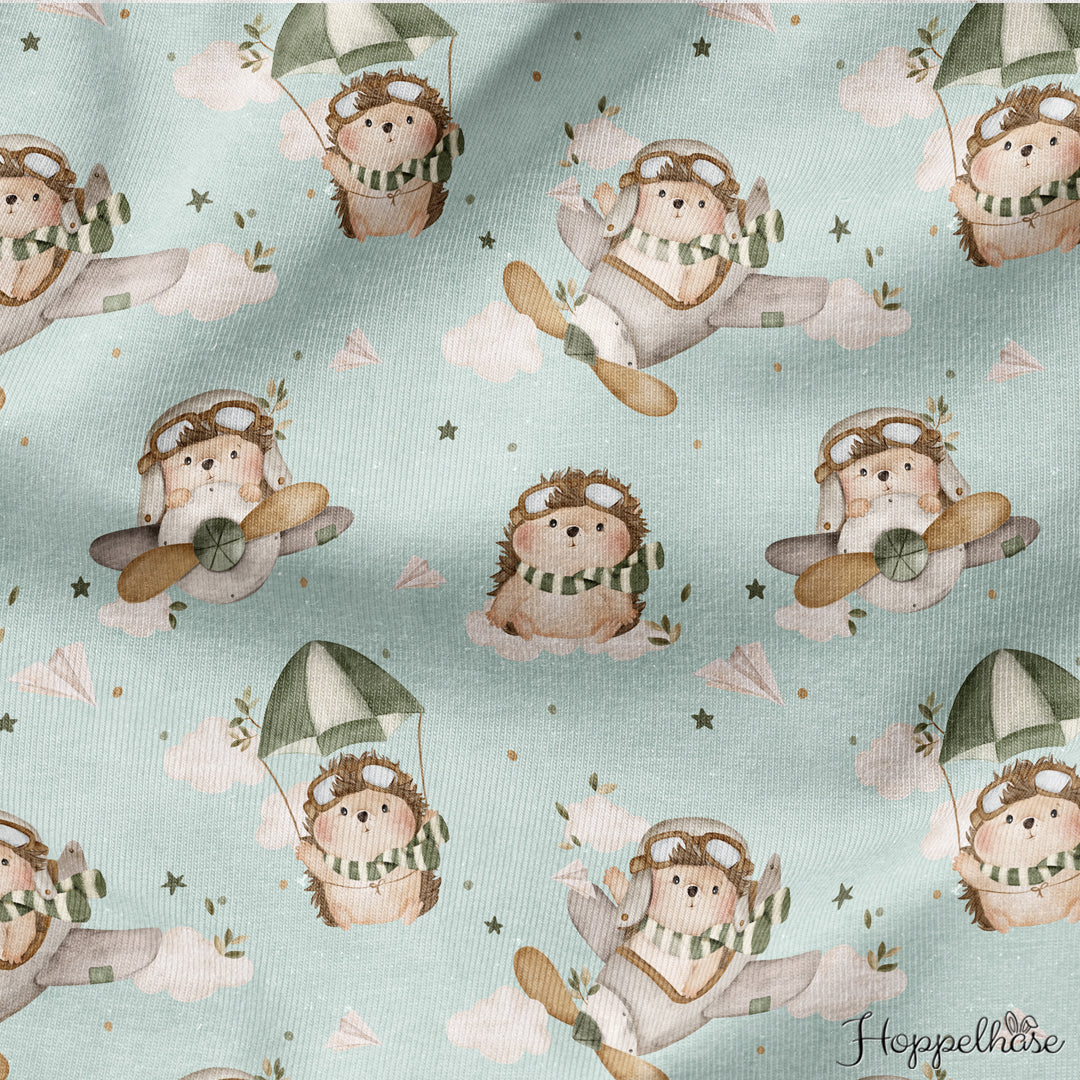 Bügelbild der kleine Aeronaut 2