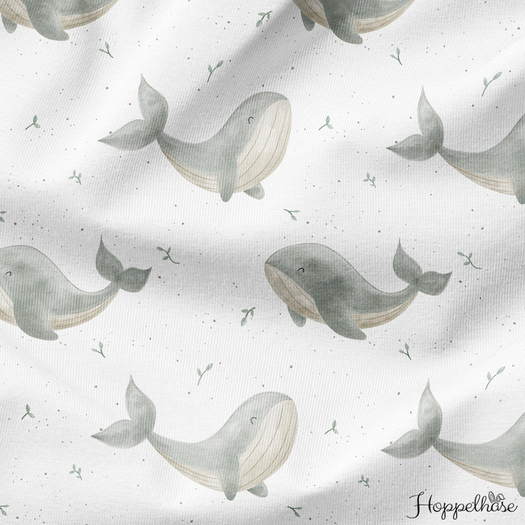 Take me to the Ocean